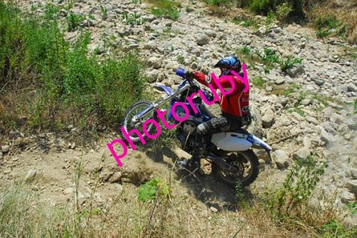 MOTO (111).JPG
